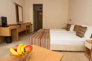 Отель Diva Hotel & Wellness Чифлик Двухместный номер с 1 кроватью или 2 отдельными кроватями-5